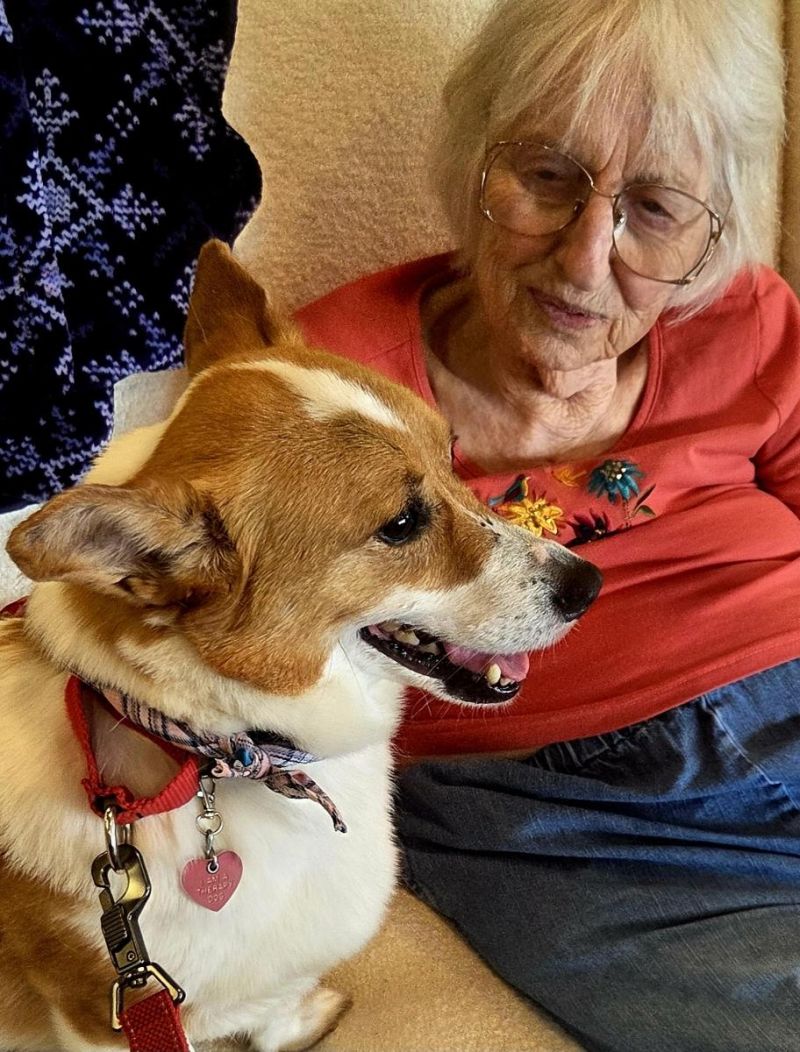 Therapy dog visiting hospice patient